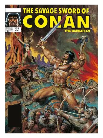 The Savage Sword Of Conan: The Original Comics Omnibus Vol.11 cover