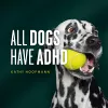 All Dogs Have ADHD cover