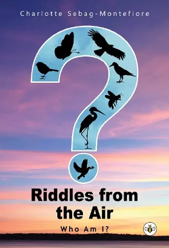Riddles from the Air cover