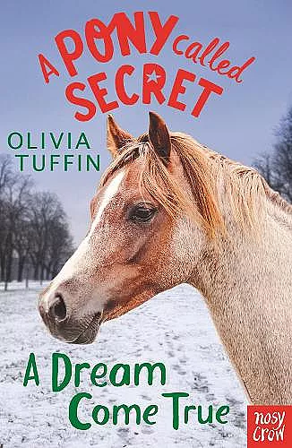 A Pony Called Secret: A Dream Come True cover