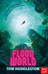 FloodWorld cover