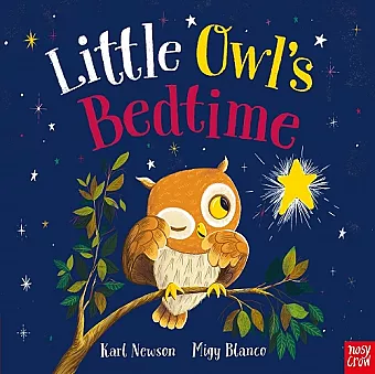 Little Owl's Bedtime cover