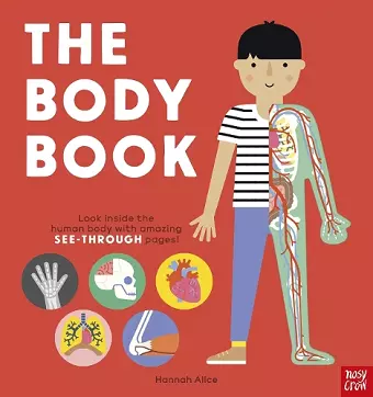 The Body Book cover