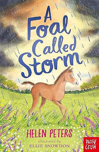 A Foal Called Storm cover