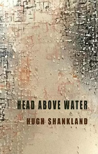 Head Above Water cover