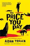The Price You Pay cover
