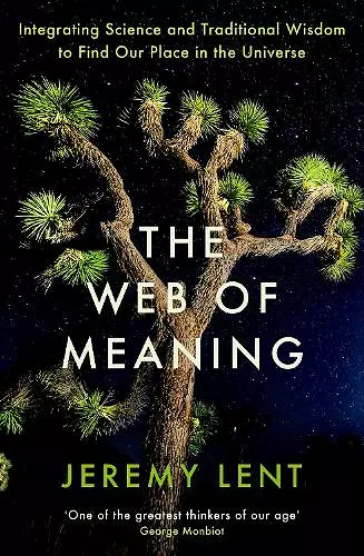 The Web of Meaning cover