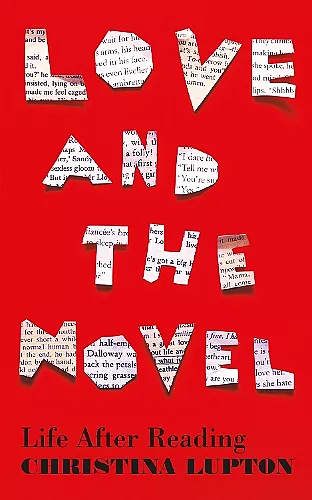 Love and the Novel cover