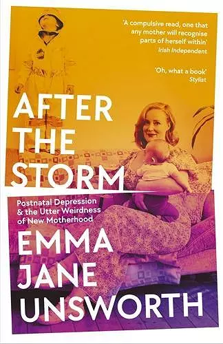 After the Storm cover