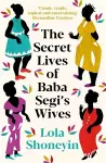 The Secret Lives of Baba Segi's Wives cover