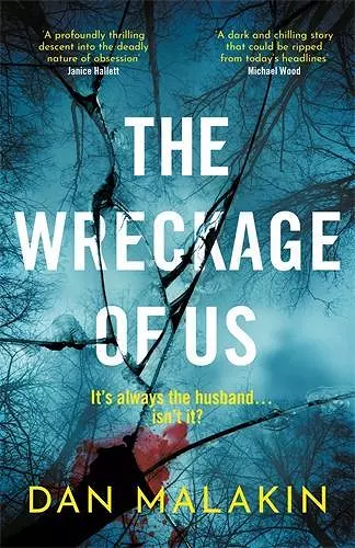 The Wreckage of Us cover