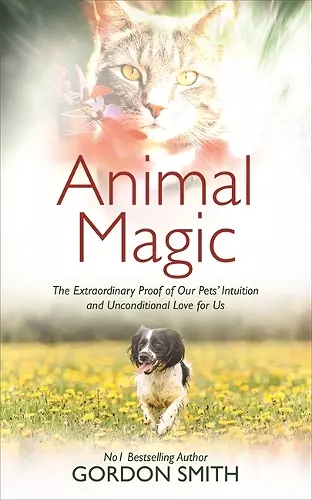 Animal Magic cover