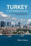 Turkey in the Global Economy cover