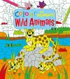 Colour by Numbers: Wild Animals cover