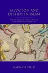Salvation and Destiny in Islam cover