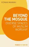Beyond the Mosque cover