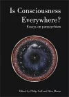Is Consciousness Everywhere? cover