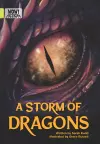 A Storm of Dragons cover