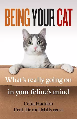 Being Your Cat cover