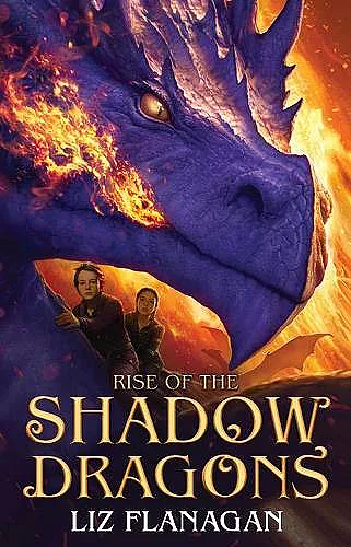 Rise of the Shadow Dragons cover