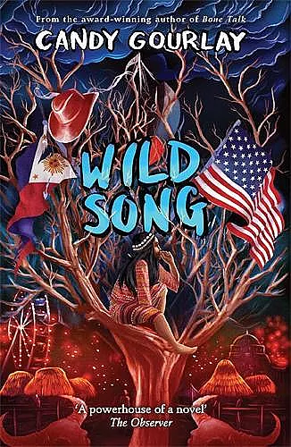Wild Song cover