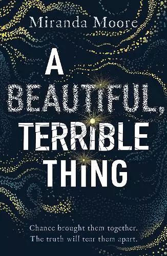 A Beautiful, Terrible Thing cover