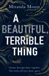 A Beautiful, Terrible Thing cover