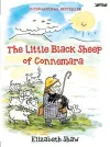 The Little Black Sheep of Connemara cover