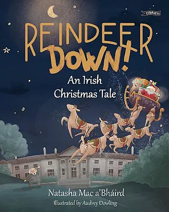 Reindeer Down! cover