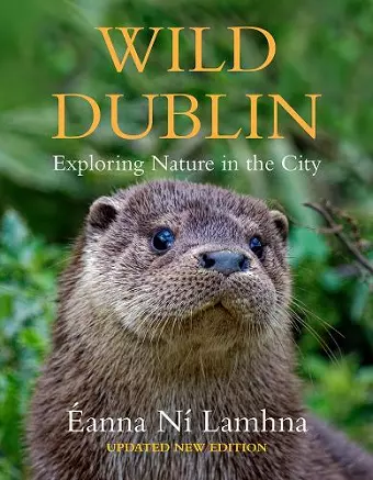 Wild Dublin cover
