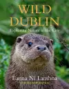 Wild Dublin cover