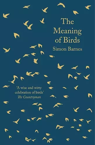 The Meaning of Birds cover