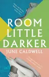 Room Little Darker cover
