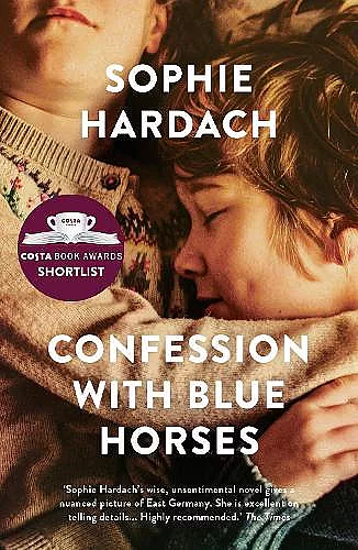 Confession With Blue Horses cover