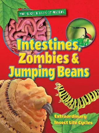 Intestines, Zombies and Jumping Beans cover