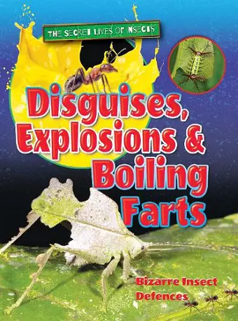 Disguises, Explosions and Boiling Farts cover