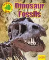 Dinosaur Fossils cover
