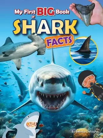 My First BIG book of SHARK Facts cover