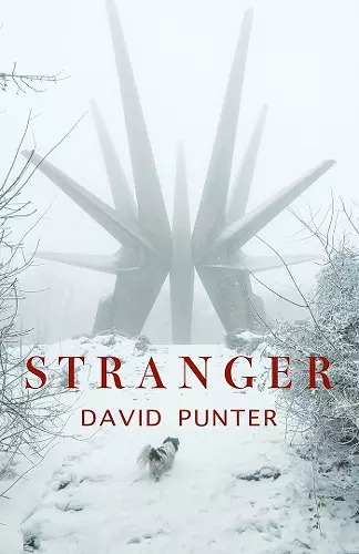 Stranger cover