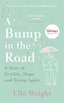 A Bump in the Road cover