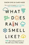 What Does Rain Smell Like? cover