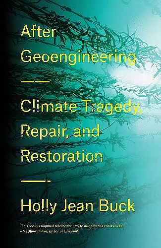 After Geoengineering cover