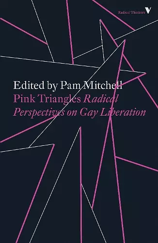 Pink Triangles cover
