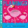 Flamingo cover