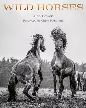 Wild Horses cover