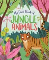 My First Book of Jungle Animals cover