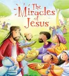 The Miracles of Jesus cover