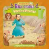Children's Bible Stories: David and the Lions cover