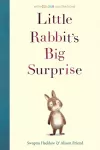Little Rabbit's Big Surprise cover