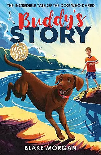 Buddy's Story cover